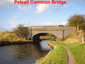 Pelsall common bridge